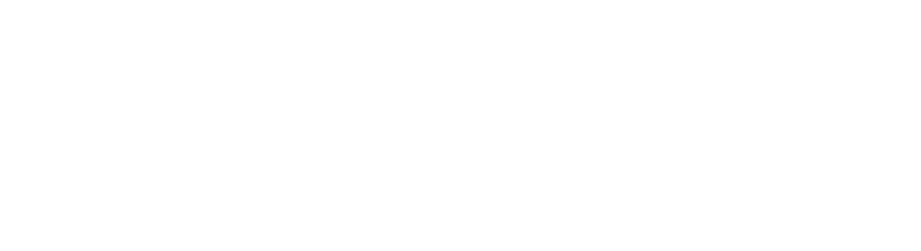 Raul Motta